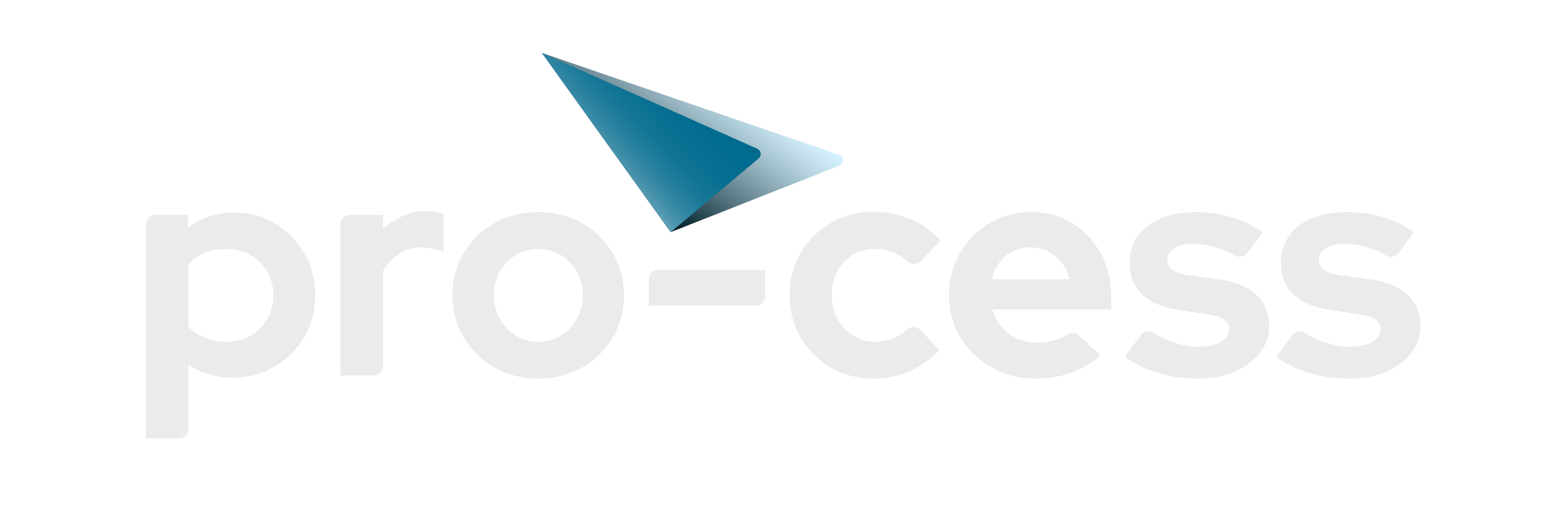 pro-cess.co